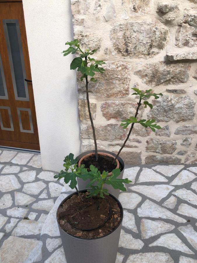 Old Town Apartment Mare Hvar Town Extérieur photo